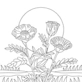 Pink mallow flower coloring page